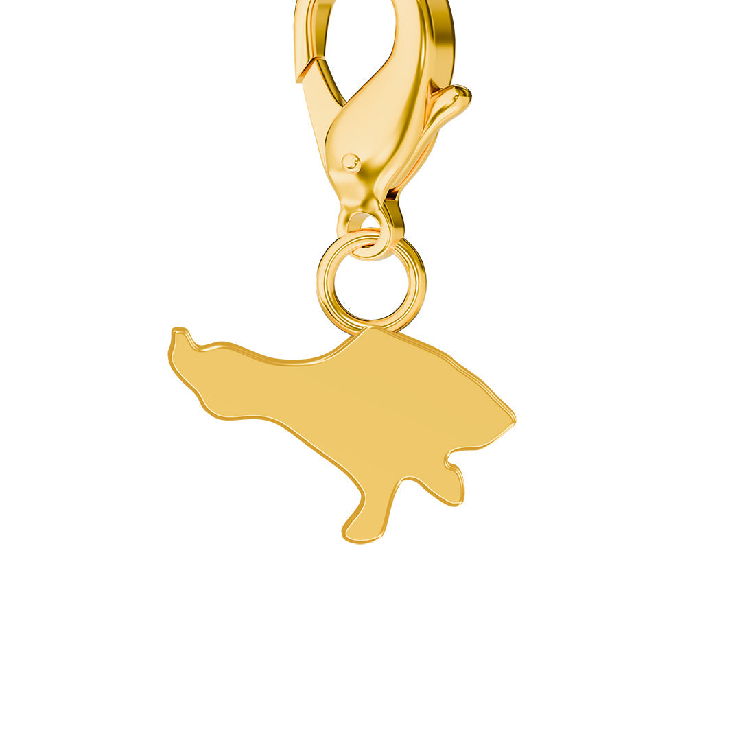 Flag & Map Charms Set (Pre-Order)