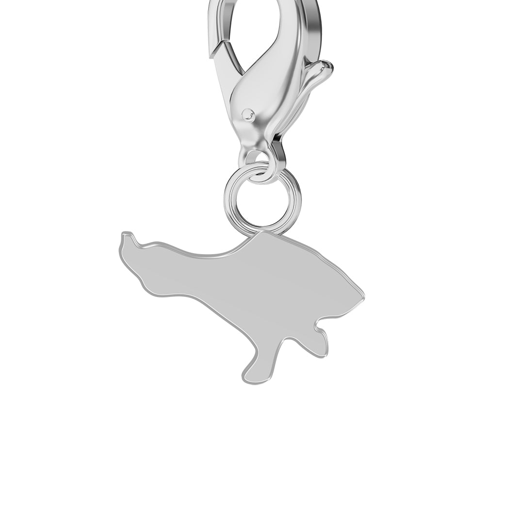 Flag & Map Charms Set (Pre-Order)