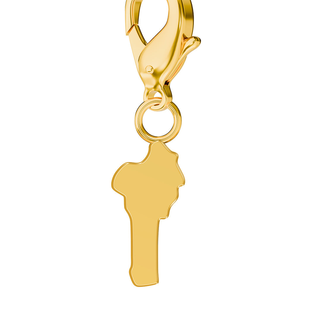 Flag & Map Charms Set