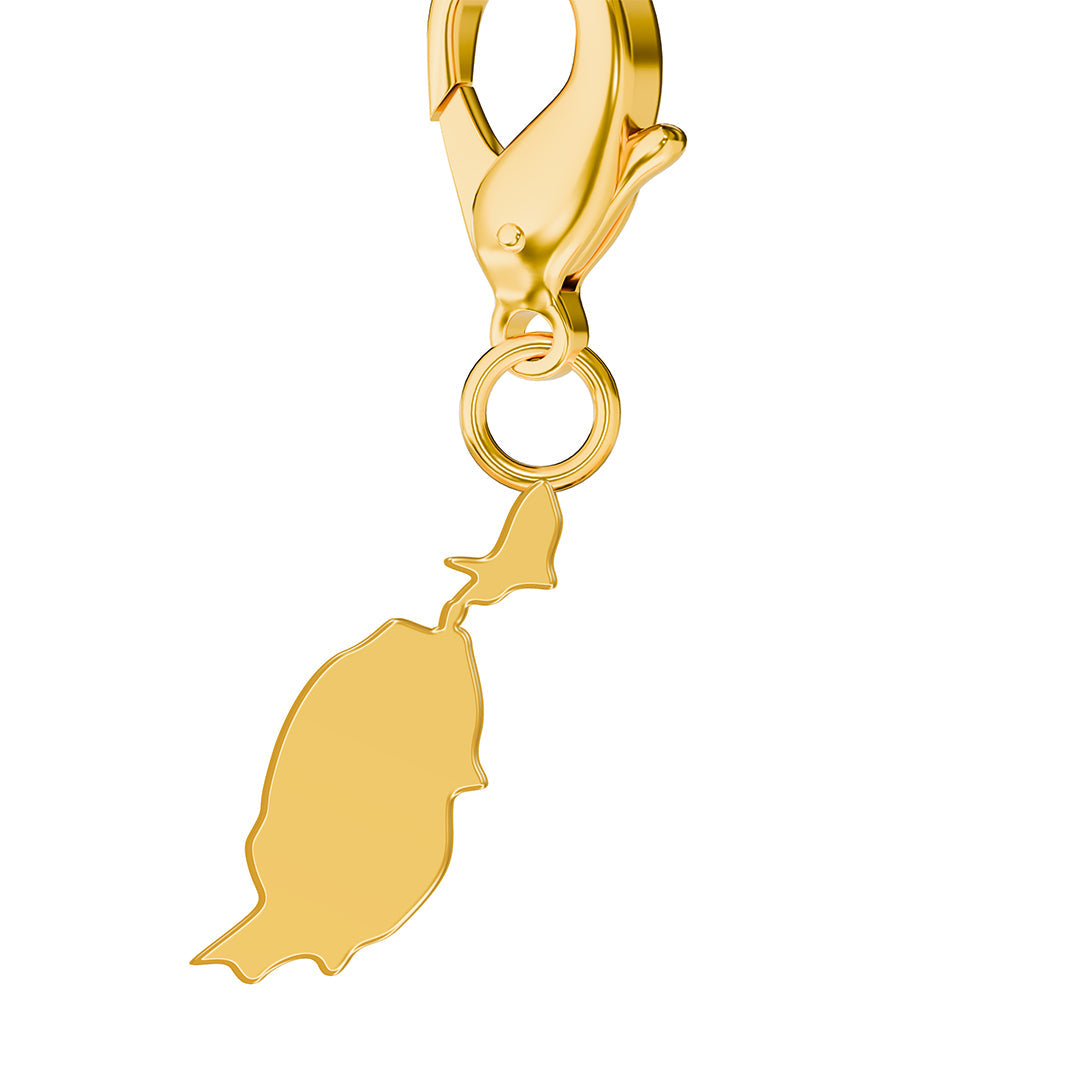 Flag & Map Charms Set