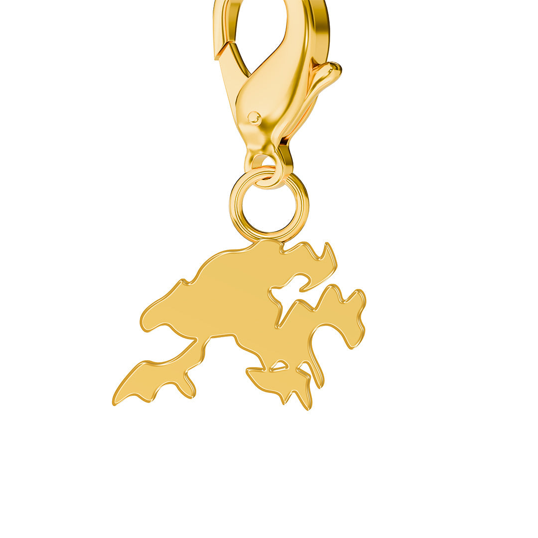 Flag & Map Charms Set