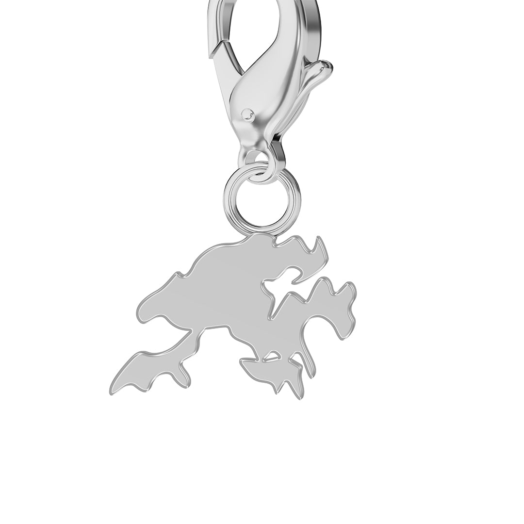 Flag & Map Charms Set