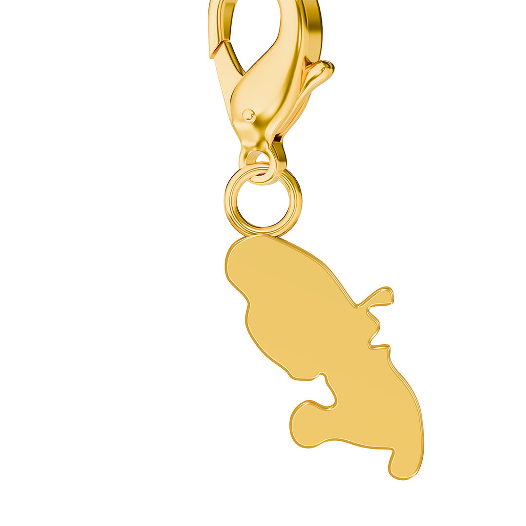 Flag & Map Charms Set