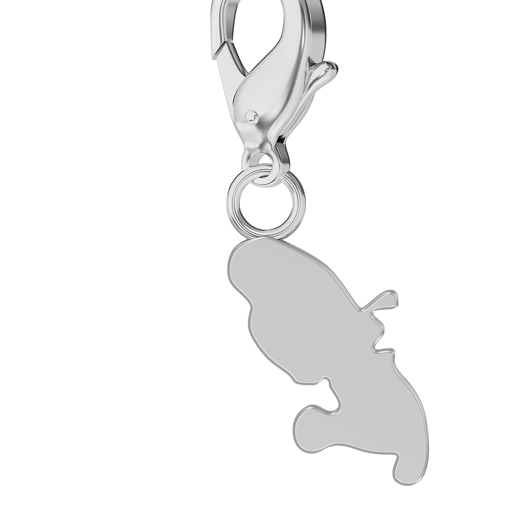 Flag & Map Charms Set