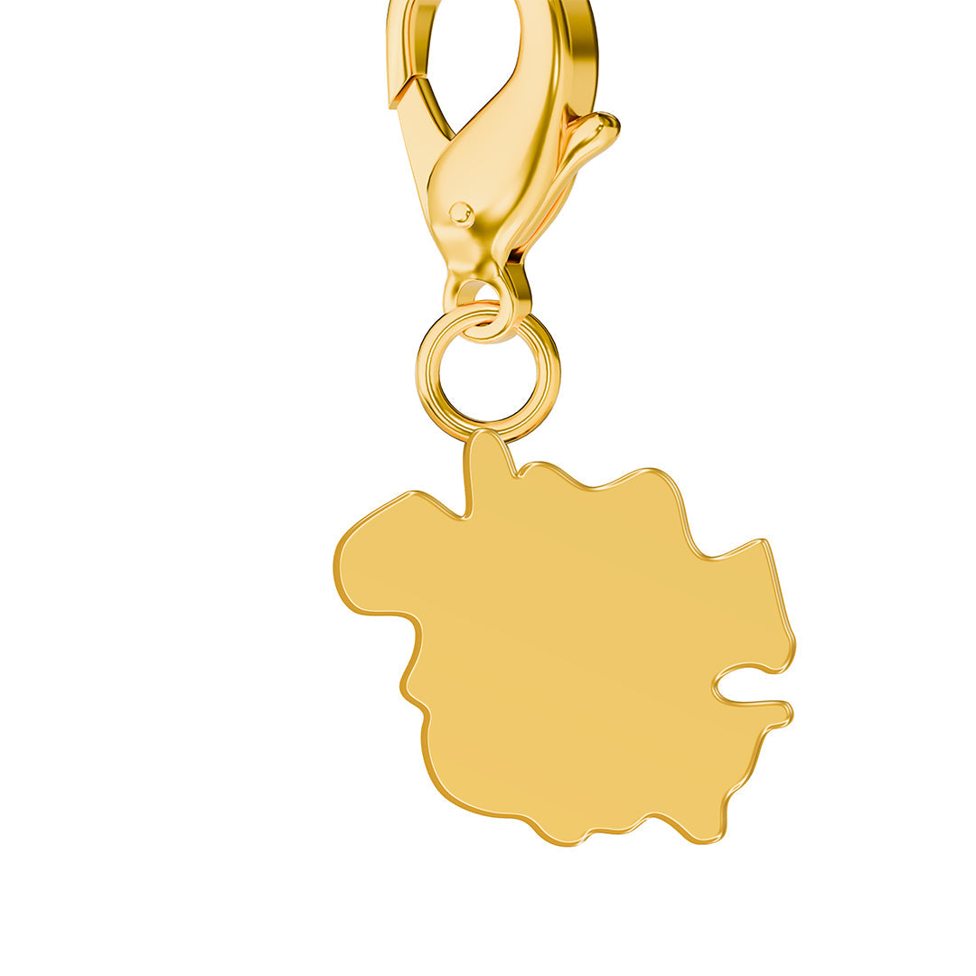 Flag & Map Charms Set