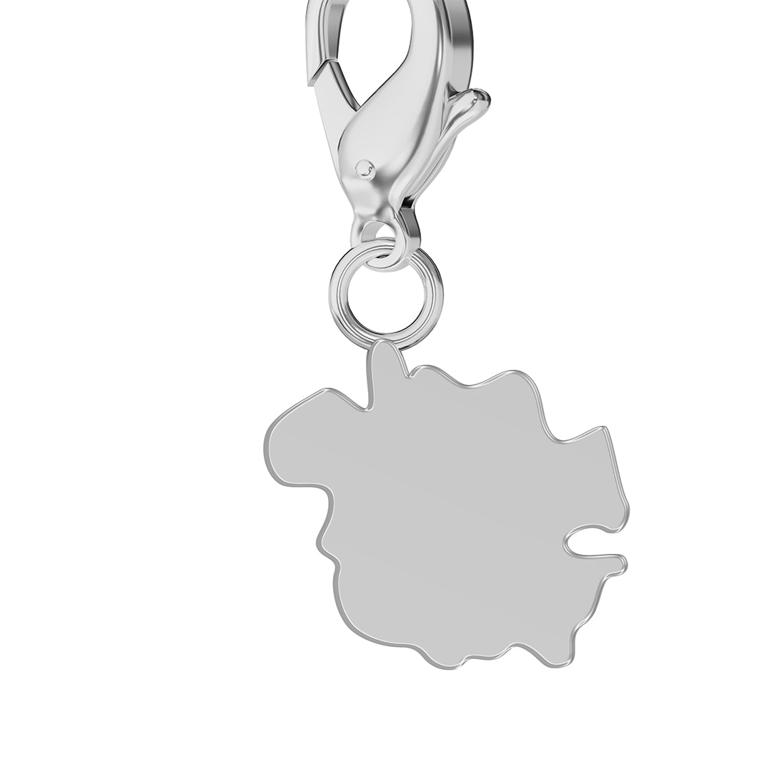 Flag & Map Charms Set