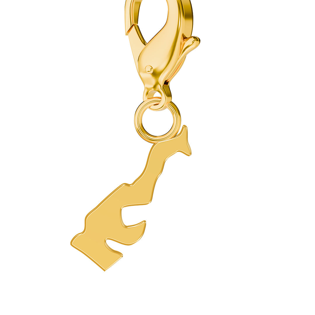 Flag & Map Charms Set