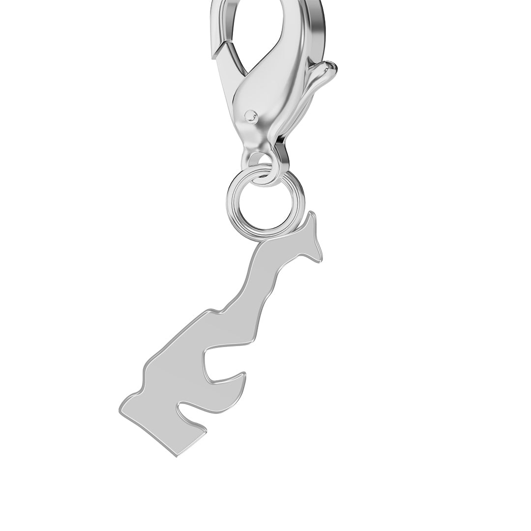 Flag & Map Charms Set