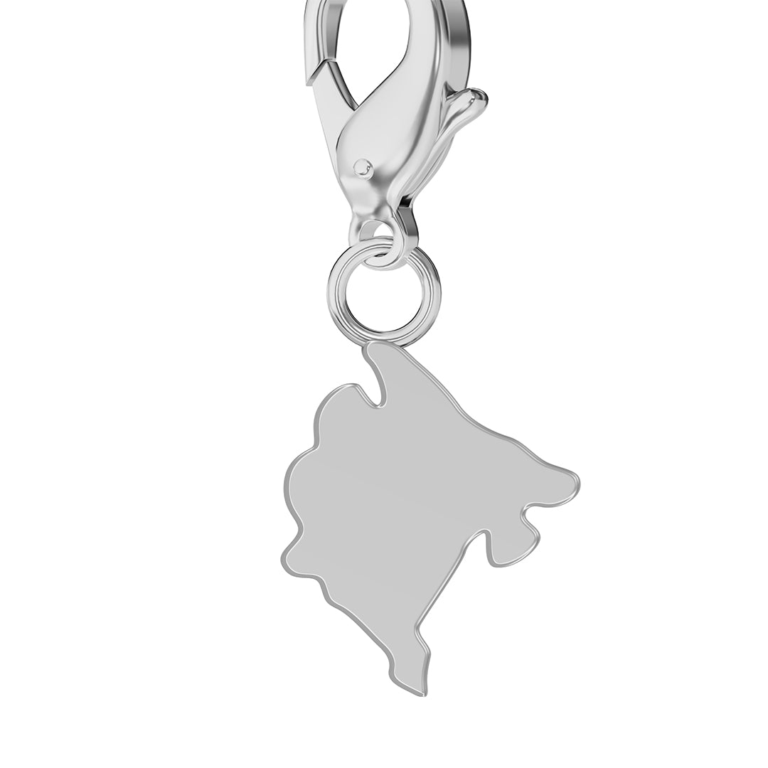 Flag & Map Charms Set