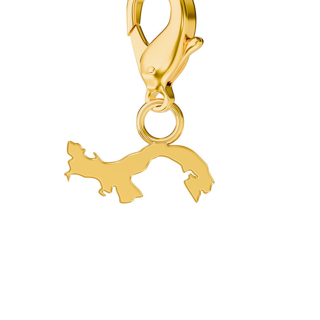 Flag & Map Charms Set