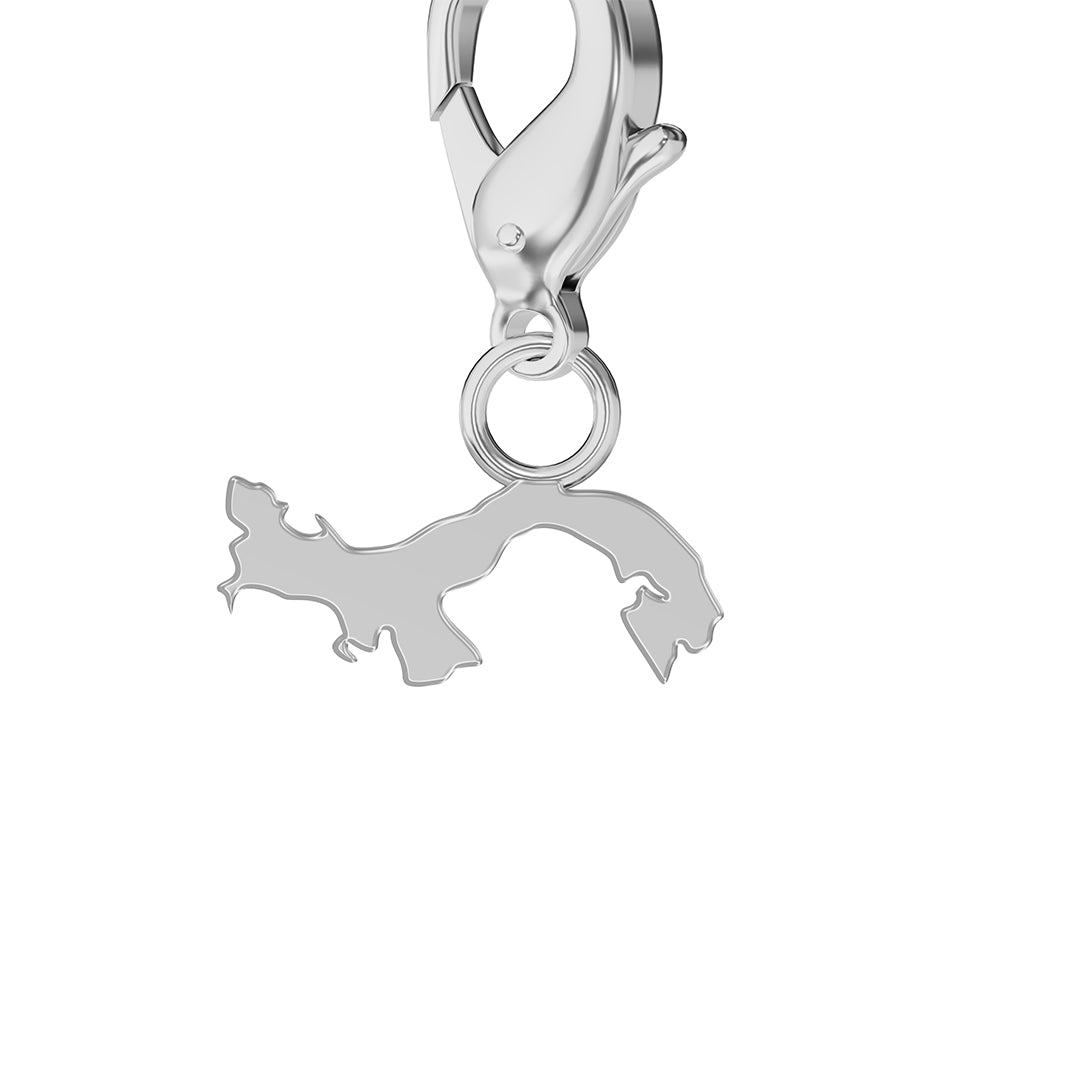 Flag & Map Charms Set