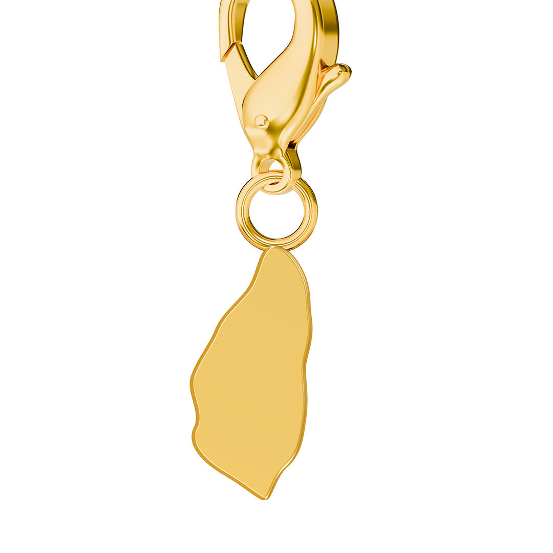 Flag & Map Charms Set