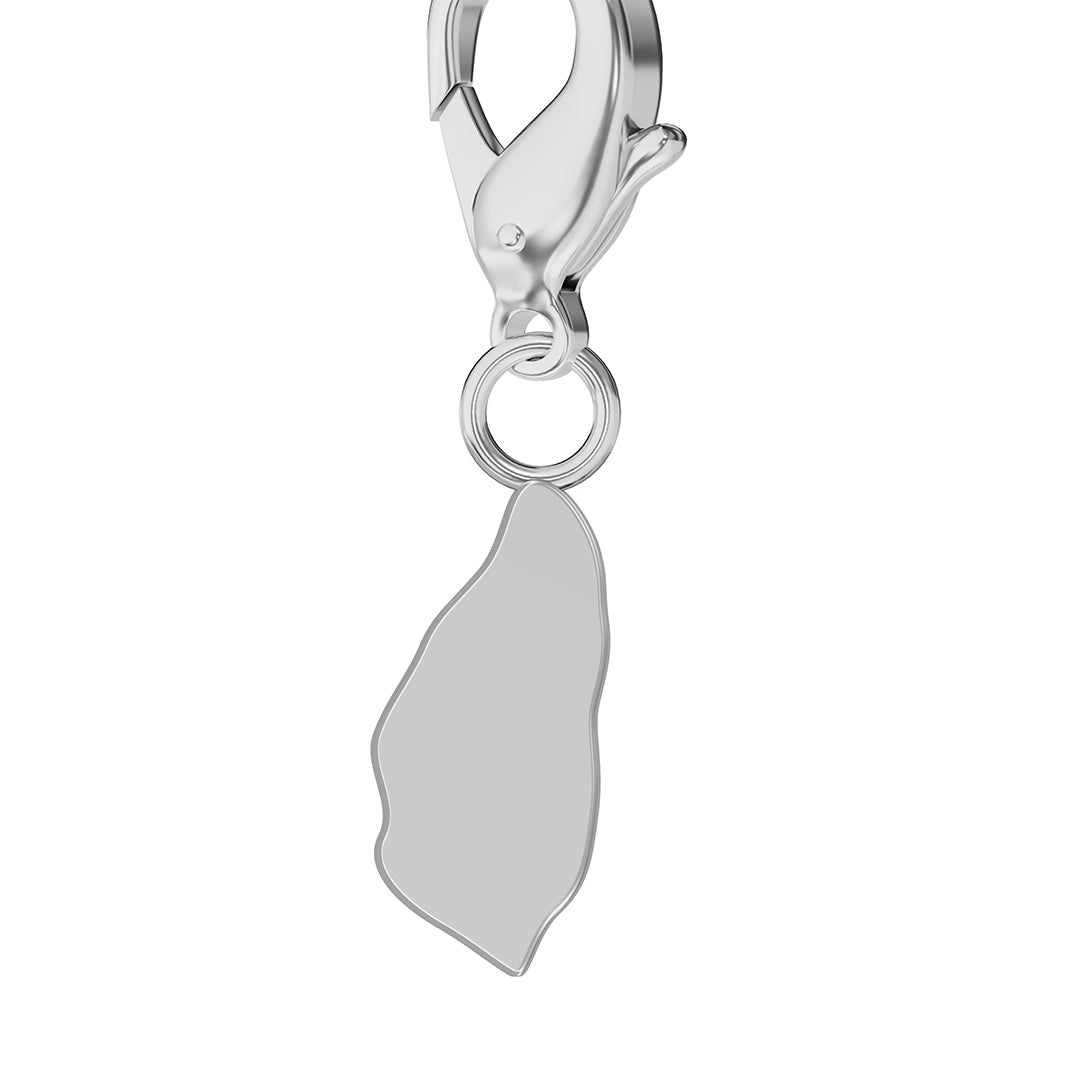 Flag & Map Charms Set