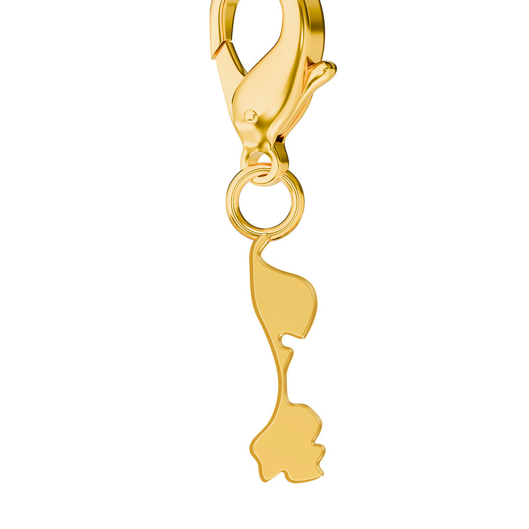 Flag & Map Charms Set (Pre-Order)