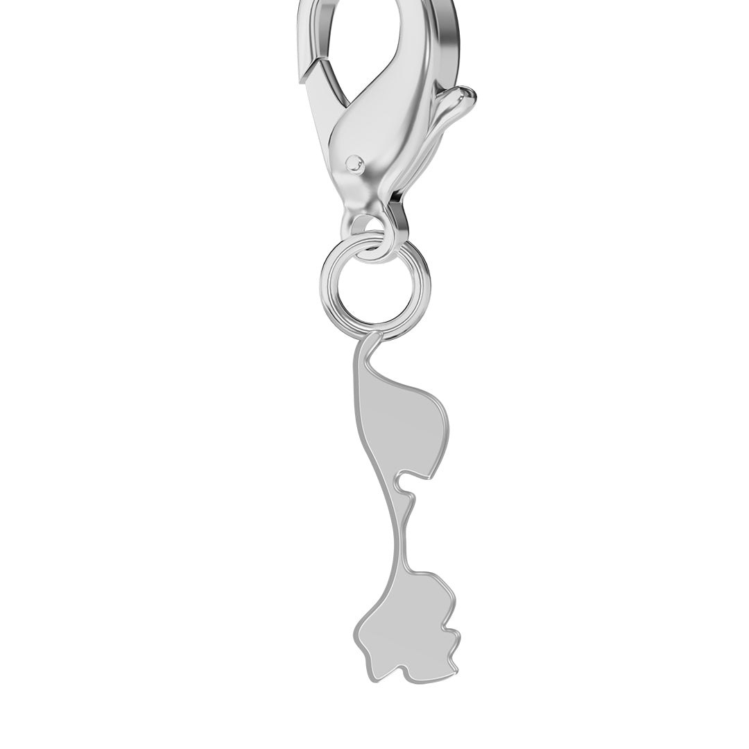 Flag & Map Charms Set (Pre-Order)