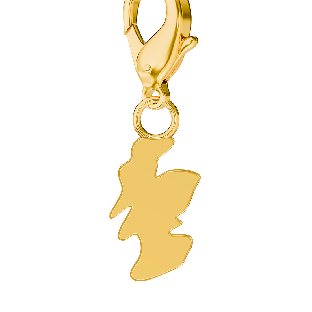 Flag & Map Charms Set