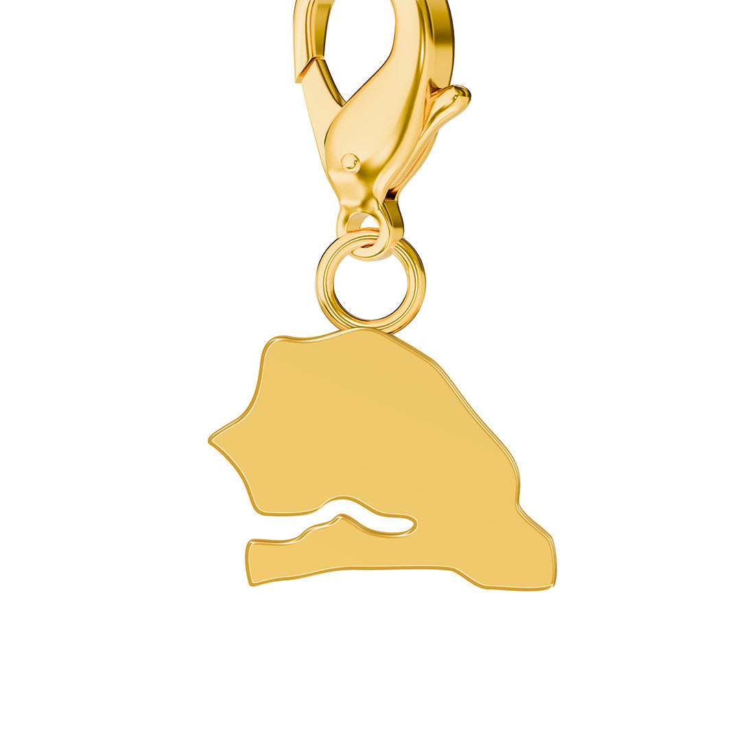 Flag & Map Charms Set