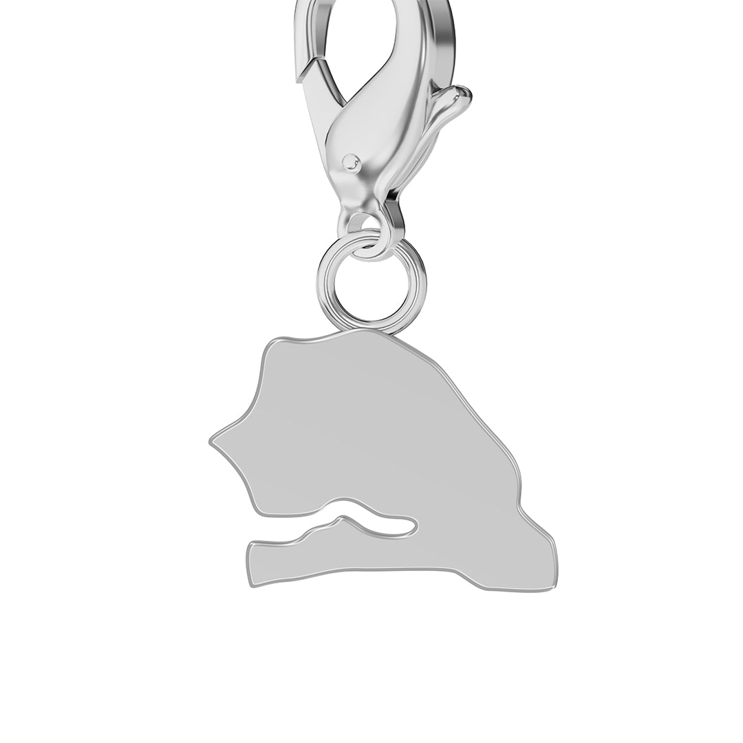 Flag & Map Charms Set