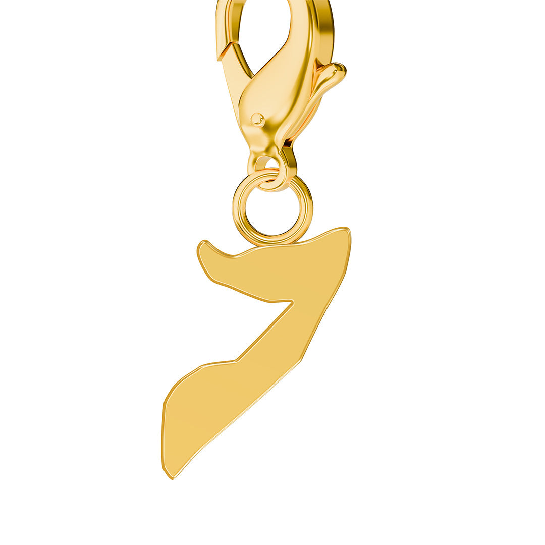 Flag & Map Charms Set