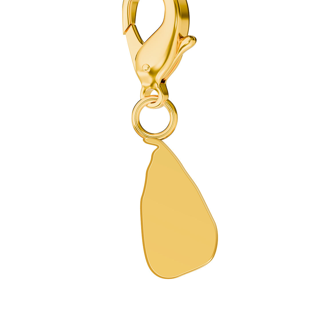 Flag & Map Charms Set